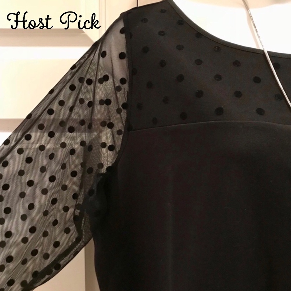 🌟HP🌟NWT! Talbots Dressy Top